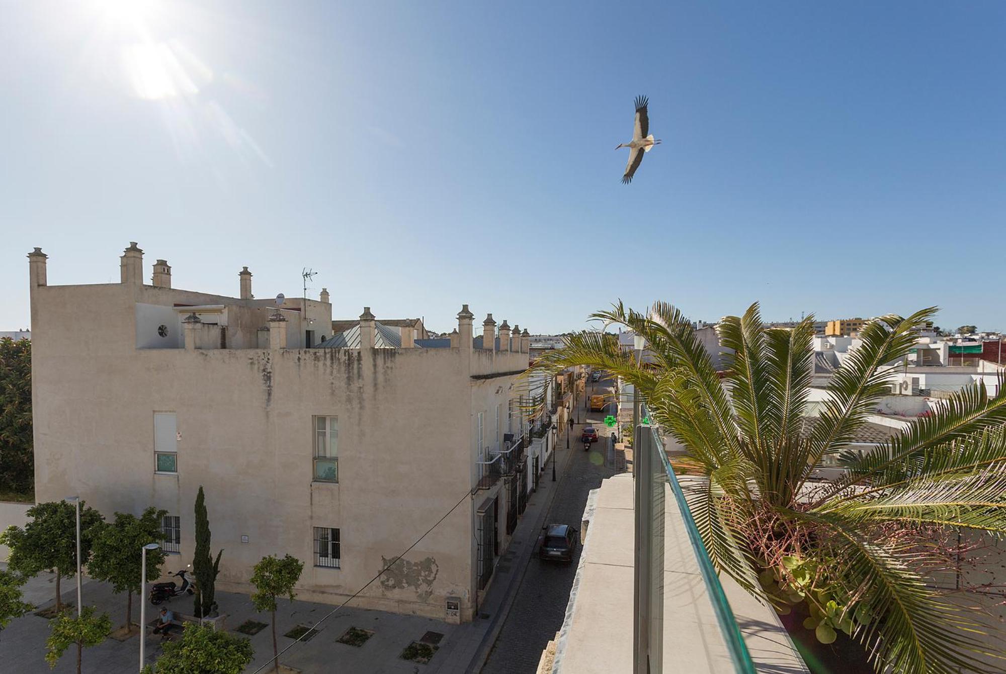 شقة Azvalia - Casa San Juan إل بويرتو دي سانتا ماريا المظهر الخارجي الصورة
